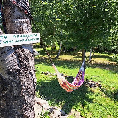 Вила Брезите بامبوروفو المظهر الخارجي الصورة